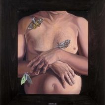 Nancy Hild Gallery - Image 12