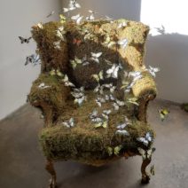 Laura Phelps Rogers