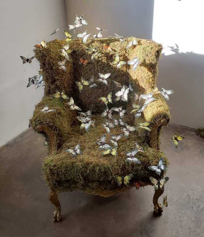 Laura Phelps Rogers
