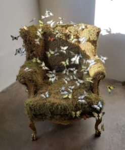 Laura Phelps Rogers