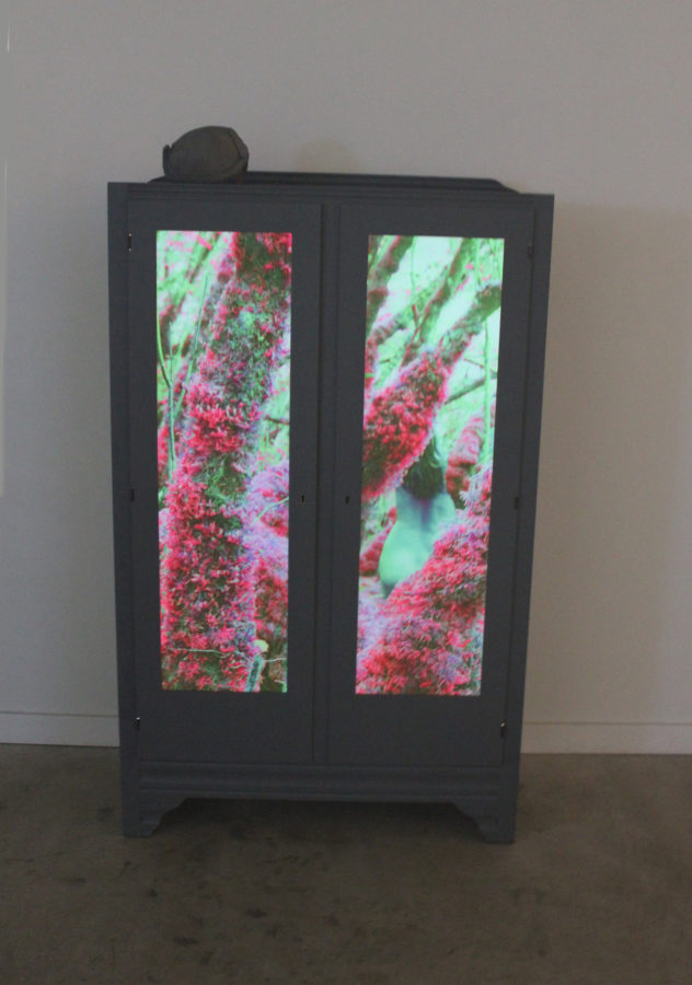 Laura Phelps Rogers - Image 3