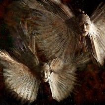 Skydancer