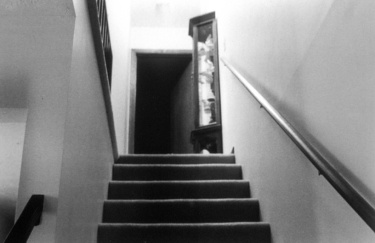 Laurie A. Cox