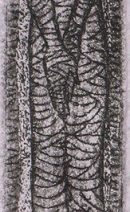 Alternative view of Bert Menco