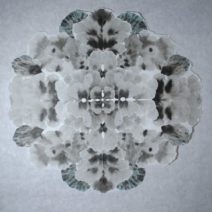 Alternative view of Allison Svoboda