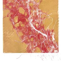 Alternative view of Rosalind Faiman Weinberg