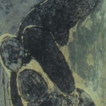 Fran Bull