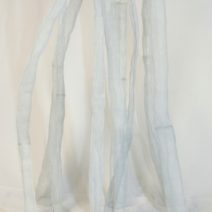 Celia Greiner