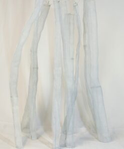 Celia Greiner