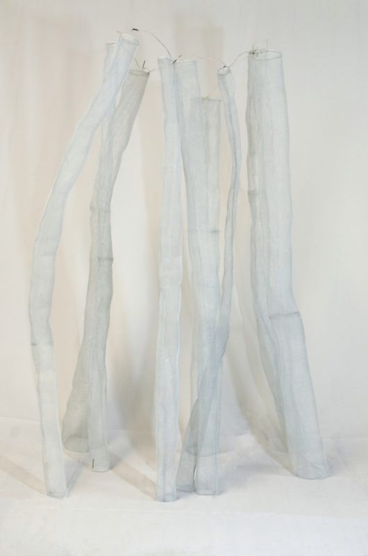 Celia Greiner
