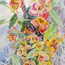 Anne Farley Gaines