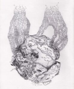 Debora Ewing