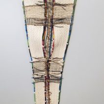 Ann Quinn