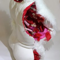 Alternative view of Dimelza Broche