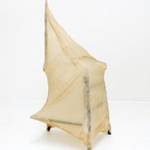 Molly Blumberg