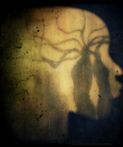 Tracy Barwick