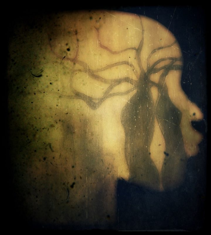 Tracy Barwick