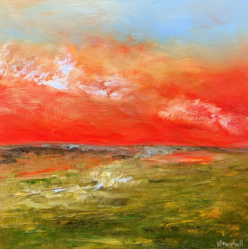 Shawn Marshall - Image 2