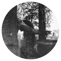 Liz O'Brien - Image 2