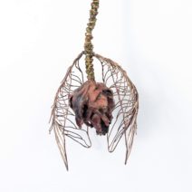 Alternative view of Donna Zarbin-Byrne