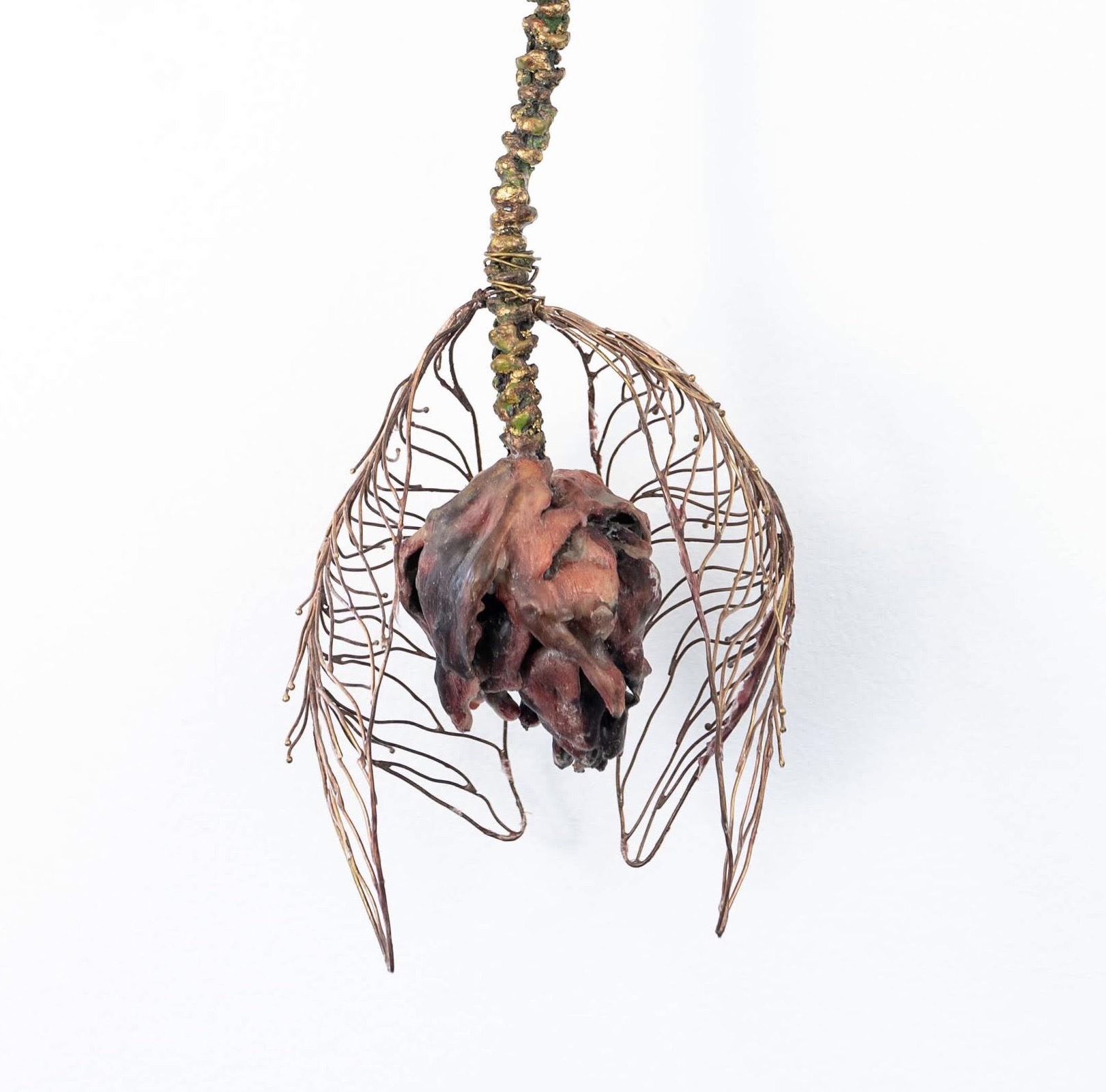 Donna Zarbin-Byrne - Image 2