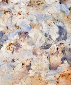 Pamela Shipley