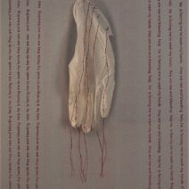 Indrani Nayar-Gall