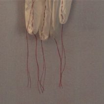 Alternative view of Indrani Nayar-Gall