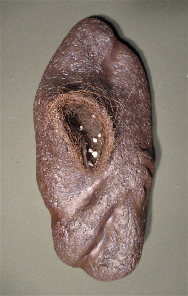 Gina Lee Robbins