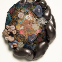 Bobbi Meier - Image 5