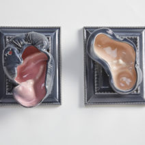 Bobbi Meier - Image 3