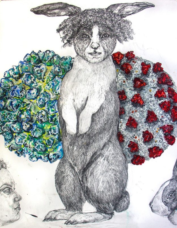 Laura C Carlson