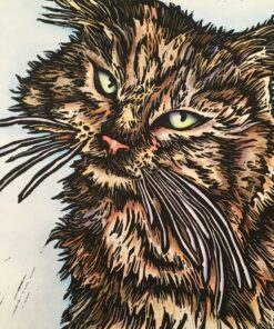 Kelly Witte