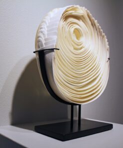 Holly Ballard Martz