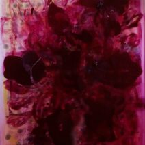 Jenny Halpern