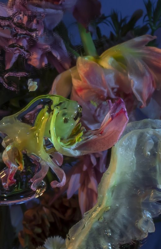 Rebecka Kann
