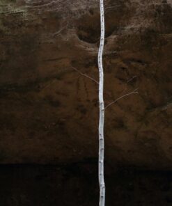 Laurie Beck Peterson