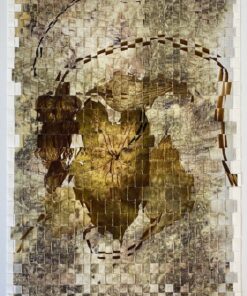 Teri Figliuzzi