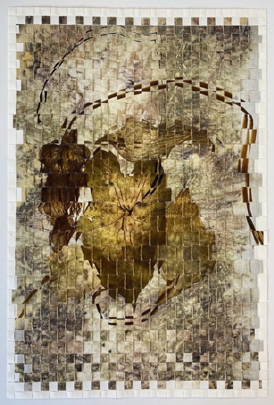Teri Figliuzzi