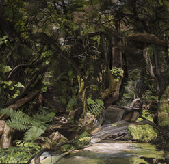 Amanda Musick
