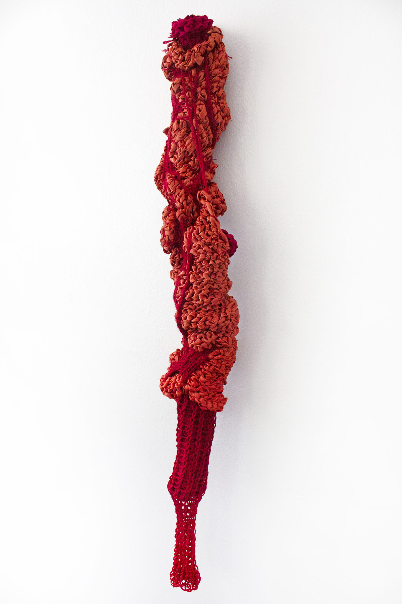 Katie Shulman