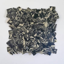 Michele Thrane