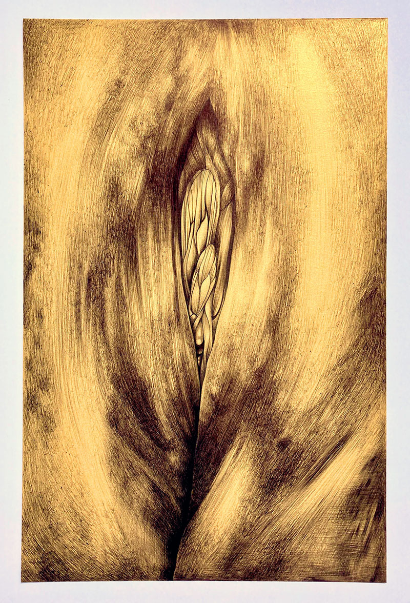 Jessica DuPreez - Image 2