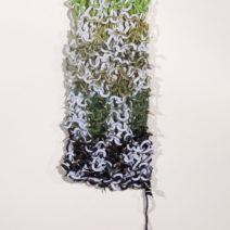 Leslie Robison - Image 7