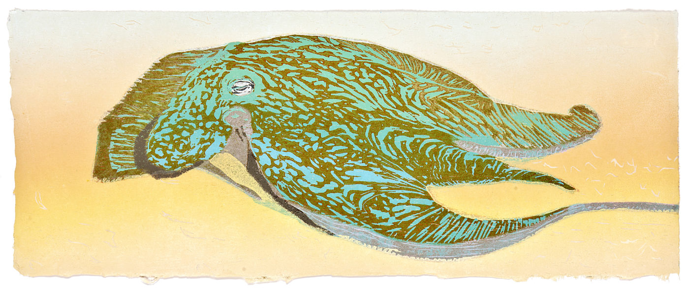 Cathie Crawford 