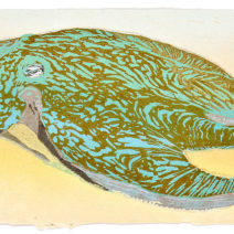 Cathie Crawford 