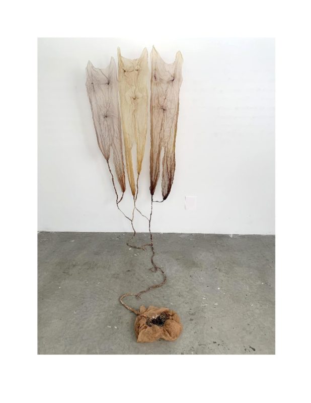 Emily Zarse