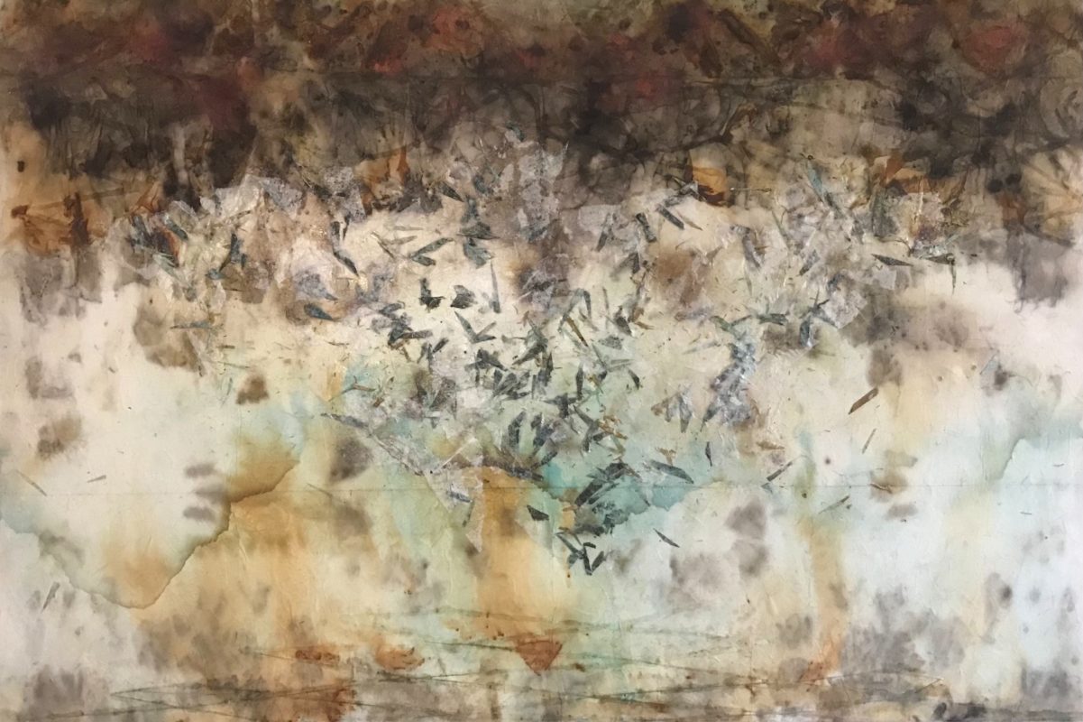 Lisa Nelson Raabe