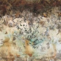 Lisa Nelson Raabe