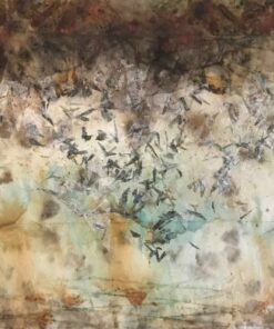 Lisa Nelson Raabe